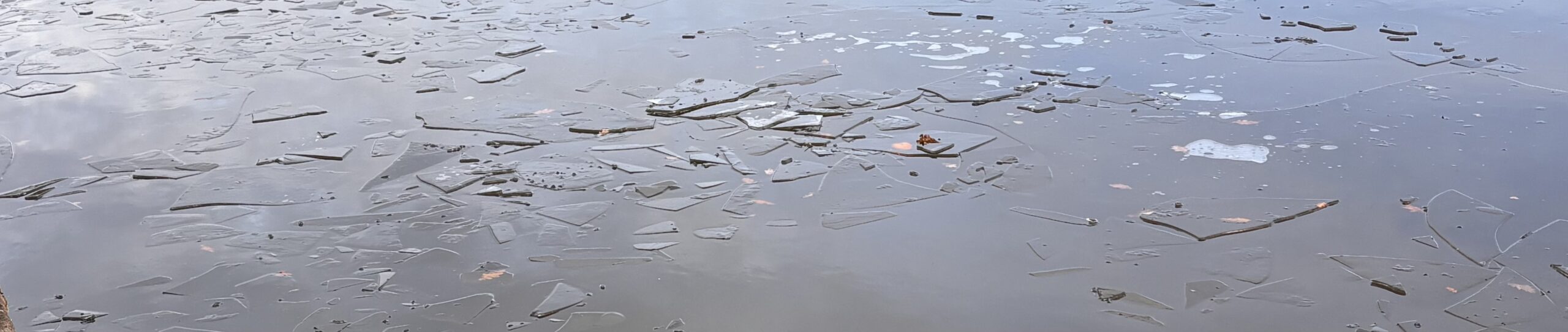 A very frosty morning