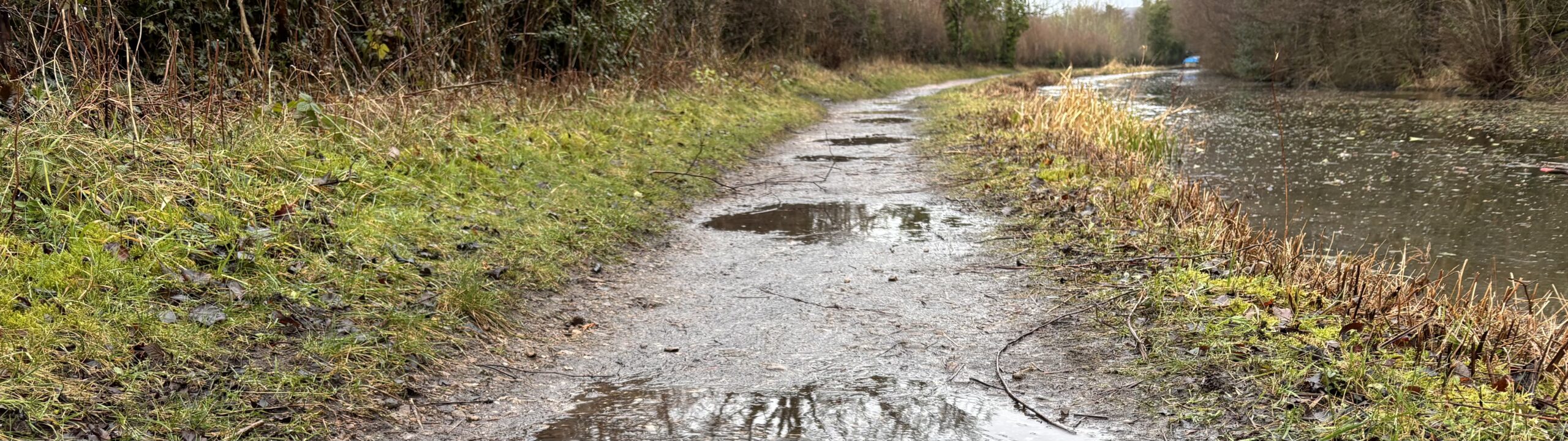 A change in the weather