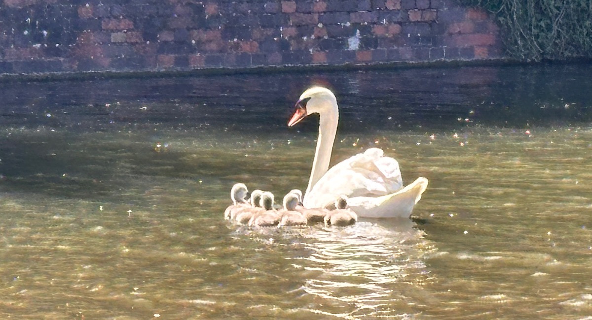 Droitwich: Wednesday